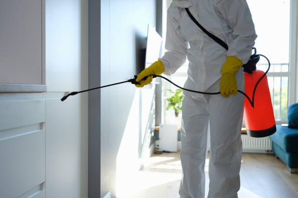 Best Commercial Mold Removal  in Carlin, NV