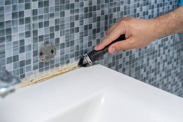 Best Certified Mold Removal  in Carlin, NV