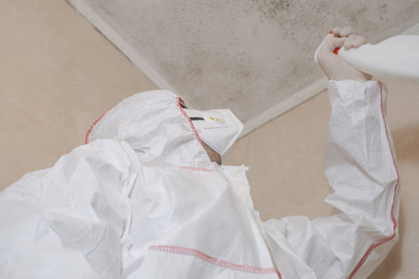 Best Residential Mold Removal  in Carlin, NV