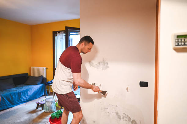 Best Professional Mold Removal  in Carlin, NV