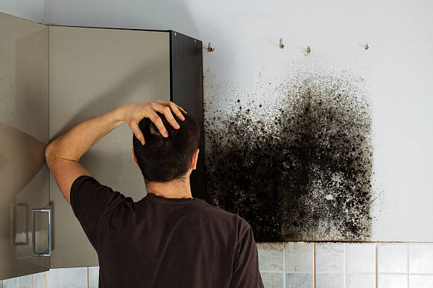 Best Crawl Space Mold Removal  in Carlin, NV